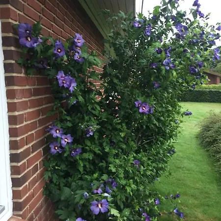 Quarto em Acomodações Particulares Vaerelse Med Udsigt Over Limfjorden - Rolige Omgivelser Og Adgang Til Flot Have *